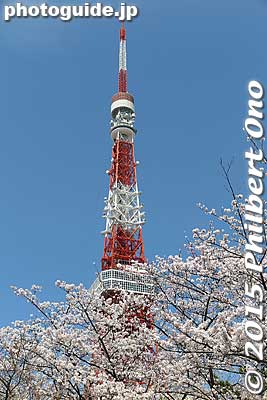 Keywords: tokyo minato-ku shiba koen park tokyotower