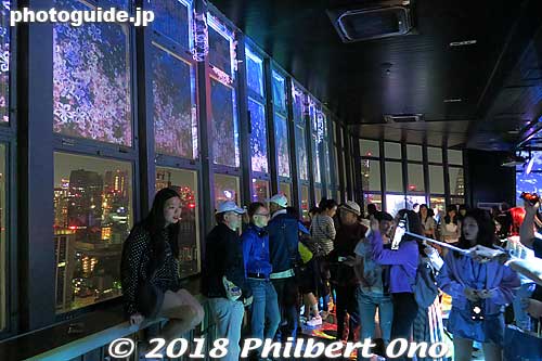 Tourists loved to pose with the projection mapping imagery.
Keywords: tokyo minato-ku tower koinobori carp streamers children day festival night