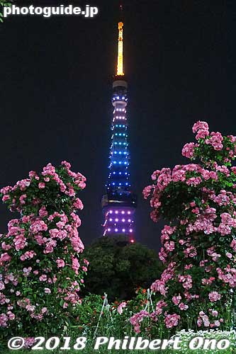 Keywords: tokyo minato-ku tower shiba park