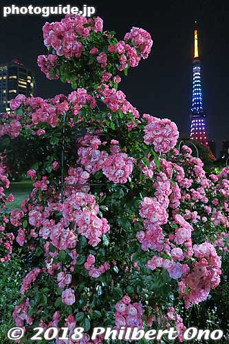 Keywords: tokyo minato-ku tower shiba park