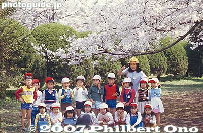 Keywords: tokyo mitaka International Christian University campus school cherry blossoms children sakura flowers