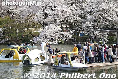 Boat dock
Keywords: tokyo mitaka kichijoji inokashira park pond cherry blossoms sakura flowers
