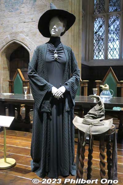 Minerva McGonagall (next to Sorting Hat), Hogwarts Transfiguration professor, Head of Gryffindor House, Deputy Headmistress of Hogwarts.
