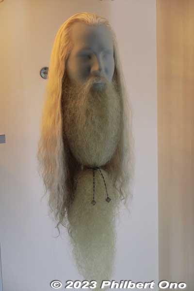 Dumbledore’s beard and hair.
