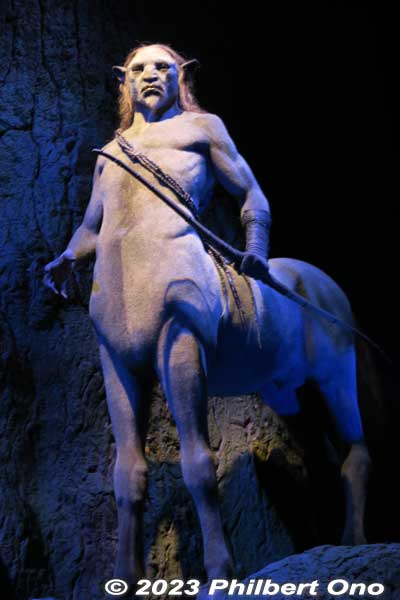 Centaurs are guardians of the Forbidden Forest. Facial features are more horse-like than human. 
