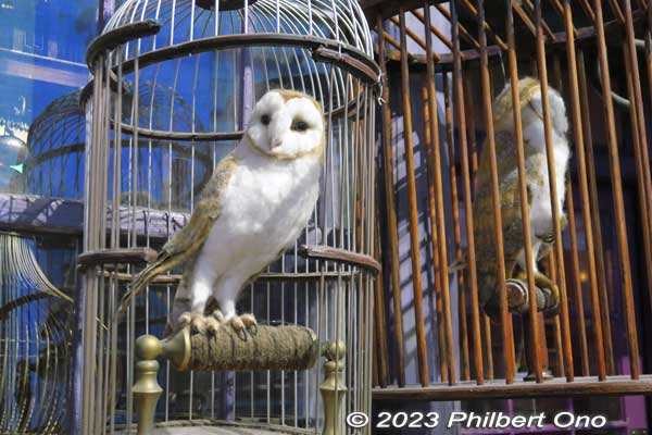Owls for sale at Diagon Alley.

