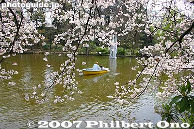 Keywords: tokyo nerima-ku ward shakujii koen park pond boat cherry blossom sakura flowers