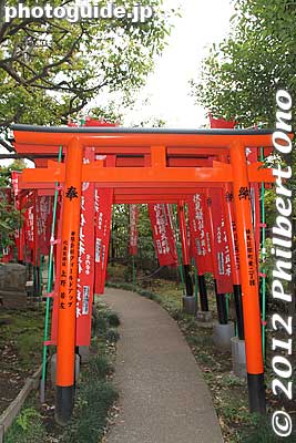 Toriis were donated by companies and individuals.
Keywords: tokyo nishitokyo fushimi inari shrine jinja shinto