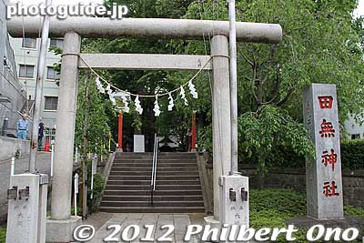 Tanashi Shrine
Keywords: tokyo nishitokyo tanashi jinja shrine