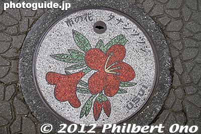 Manhole showing Nishi-Tokyo's official flower.
Keywords: tokyo nishitokyo tanashi manhole