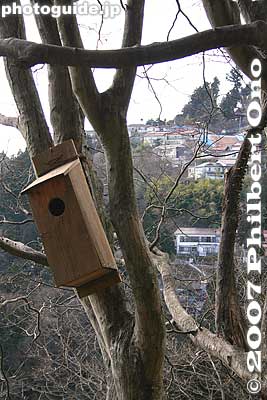 Bird house
Keywords: tokyo ome mitakesan mt. mitake mountain hike hiking