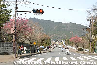 Road to Yoshino Baigo. Almost the entire town is lined with plum trees.
Keywords: tokyo ome plum blossom ume no sato flower
