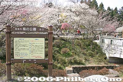 Ume no Koen (Plum Park) is a public park open from 9 am to 5 pm.
Keywords: tokyo ome plum blossom ume no sato flower