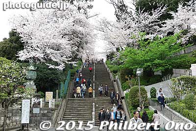 Stone steps to the temple amid cherry blossoms. 此経難持坂
Keywords: tokyo ota-ku ikegami honmonji temple buddhist nichiren