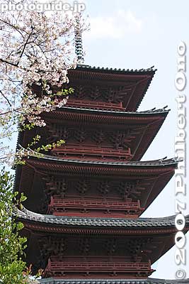Five-story Pagoda built in 1607, Tokyo's oldest pagoda. 五重塔
Keywords: tokyo ota-ku ikegami honmonji temple buddhist nichiren pagoda