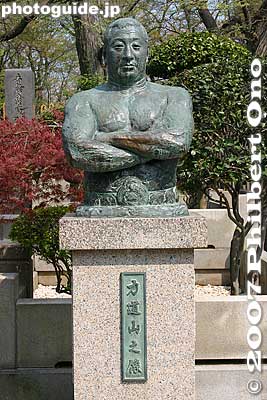 Statue of Rikidozan who was famous for his "karate chop" during the 1950s and early '60s. This famous postwar "Japanese hero" was actually Korean.
Keywords: tokyo ota-ku ikegami honmonji temple buddhist nichiren rikidozan grave cemetary