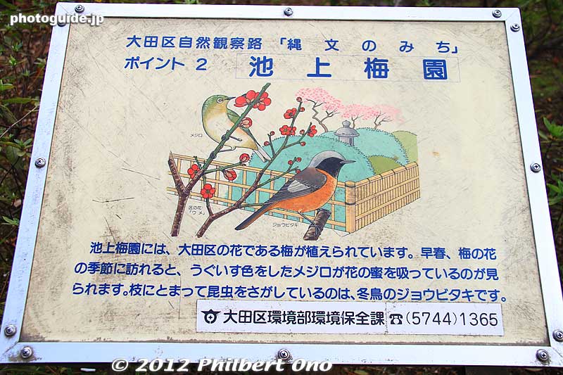 The plum blossom is Ota Ward's official flower.
Keywords: tokyo ota-ku Ikegami Baien Plum Garden blossoms flowers