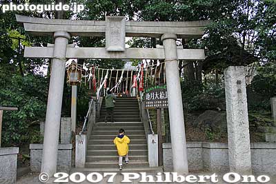 Hachimangu Shrine torii
Keywords: tokyo ota-ku senzoku-ike shinto shrine torii