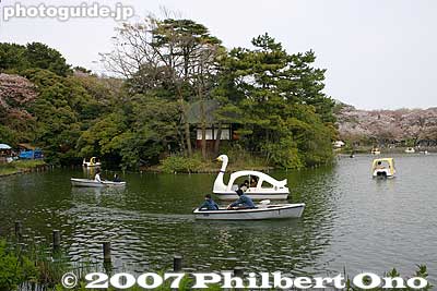 Bentenjima, a small peninsula connected by a bridge.
Keywords: tokyo ota-ku senzoku-ike pond boat sakura cherry blossoms