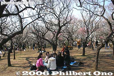 Picnic area
Keywords: tokyo setagaya-ku umegaoka plum blossoms park
