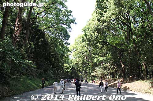 Meiji Shrine is in a large wooded, park-like area. A wide walking path leads to the shrine. It can be dusty due to the gravel.
Keywords: tokyo shibuya-ku meiji shrine shinto