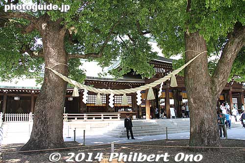 Two wedded tree trunks (楠) coupled by a sacred rope at Meiji Shrine.
Keywords: tokyo shibuya-ku meiji shrine shinto japanshrine