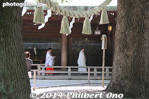 Wedding couple on their way to their ceremony inside the shrine.
Keywords: tokyo shibuya-ku meiji shrine shinto wedding