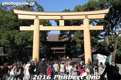 Meiji Shrine's spanking new torii.
Keywords: tokyo shibuya-ku meiji shrine shinto