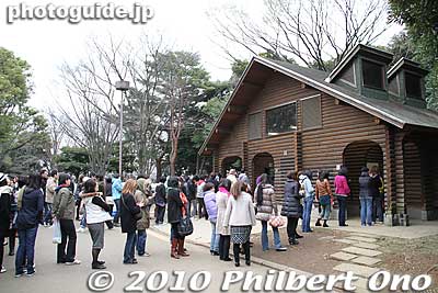 What impressed me the most about Yoyogi Park was not the cherry blossoms. It was the long lines of people waiting outside these log cabins.
Keywords: tokyo shibuya-ku ward yoyogi park sakura cherry blossoms flowers spring