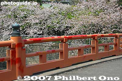 Bridge to Ebara Shrine with cherry blossoms.
Keywords: tokyo shinagawa-ku tokaido road shinagawa-juku post town stage town shukuba