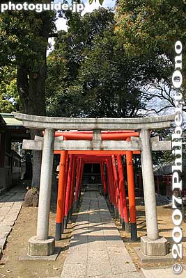 Keywords: tokyo shinagawa-ku shinagawa jinja shinto shrine torii