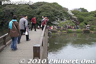 Bridge over the Kami-no-ike Pond. (Upper Pond)
Keywords: tokyo shinjuku-ku gyoen garden cherry trees blossoms sakura flowers 