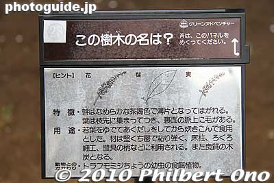Here and there is a plaque like this in front of a large tree asking you what kind of tree it is. The answer is under the top flap.
Keywords: tokyo shinjuku-ku gyoen garden trees