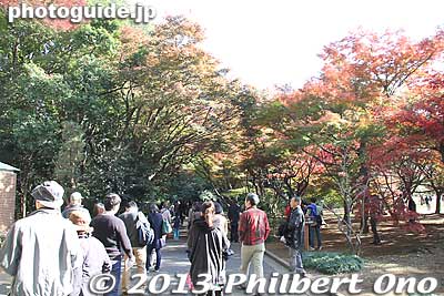 Shinjuku Gyoen Garden in autumn.
Keywords: tokyo shinjuku-ku gyoen garden