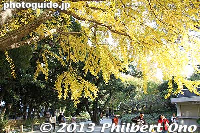 Keywords: tokyo shinjuku-ku gyoen garden