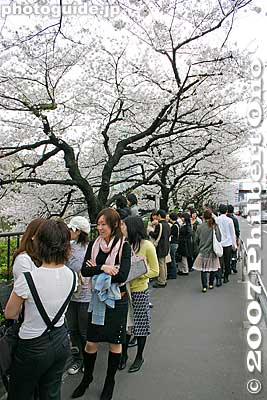 People in a long line waiting to enter Canal Cafe to either dine or rent a rowboat.
Keywords: tokyo shinjuku-ku ward sotobori moat canal cherry blossoms sakura flowers