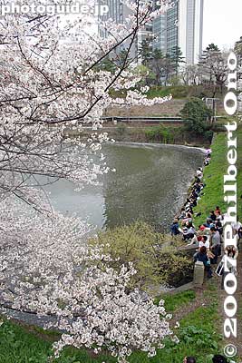 The end of the moat is also a good viewpoint.
Keywords: tokyo shinjuku-ku ward sotobori moat canal cherry blossoms sakura flowers