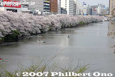 Keywords: tokyo shinjuku-ku ward sotobori moat canal cherry blossoms sakura flowers rowboats
