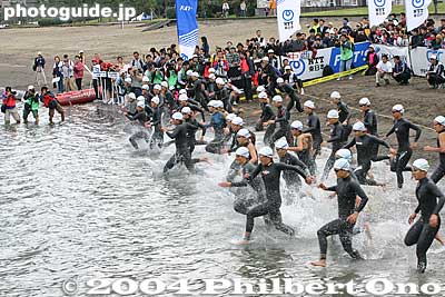 8:10 am: And they're off, taking about 30 min. to swim 1.5 km.
Keywords: tokyo minato-ku odaiba triathlon swimming cycling marathon