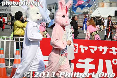 Somehow these bunnies look sinister. The kind of costume bank robbers would use.
Keywords: tokyo koto-ku marathon runners big sight finish line 