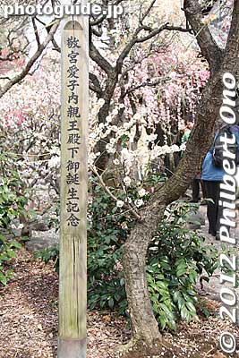 This plum tree was planted when Princess Aiko (daughter of Crown Prince Hiro and Masako) was born.
Keywords: tokyo sumida-ku ward omurai katori jinja shrine plum blossoms ume flowers