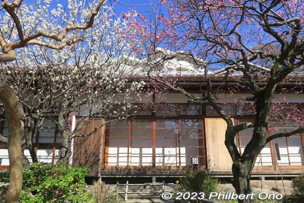 Plum blossoms in front of Onari-zashiki 御成座敷.
Keywords: tokyo sumida-ku Mukojima Hyakkaen Garden ume plum blossoms