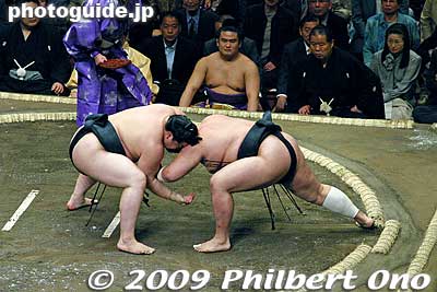 Keywords: tokyo sumida-ku ward ryogoku kokugikan sumo tournament ozumo rikishi wrestlers