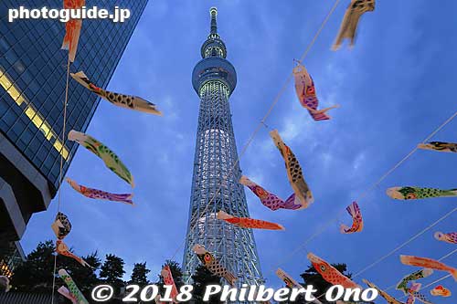 Tokyo Skytree and carp streamers.
Keywords: tokyo sumida-ku sky tree tower carp streamers koinobori matsuri5
