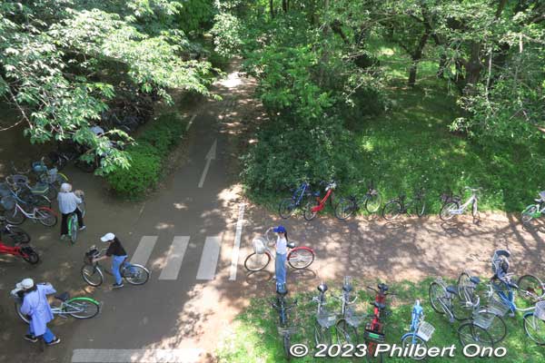 Rental bicycles are popular to get around the large park.
Keywords: tokyo tachikawa showa kinen park trees