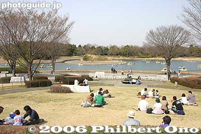 Waterfowl Pond and boats. Grass is still dry and not green in April.
Keywords: tokyo tachikawa showa kinen memorial park
