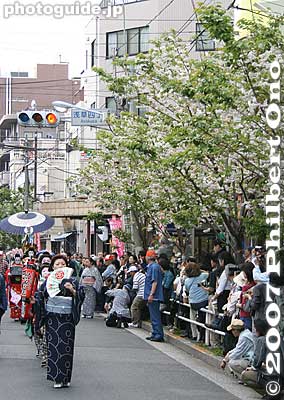 The Oiran Dochu procession proceeds slowly along the Ichiyo cherry-lined street.
Keywords: tokyo taito-ku asakusa geisha oiran dochu sakura cherry blossom matsuri festival kimono woman