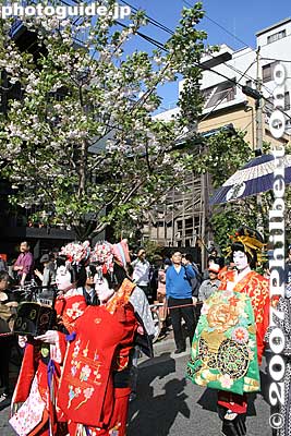 The procession passes by Ichiyo sakura trees.
Keywords: tokyo taito-ku asakusa geisha oiran dochu sakura cherry blossom matsuri festival kimono woman
