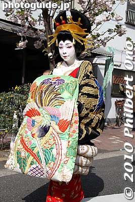She posed for me too.
Keywords: tokyo taito-ku asakusa geisha oiran courtesan sakura cherry blossom matsuri festival kimonobijin woman