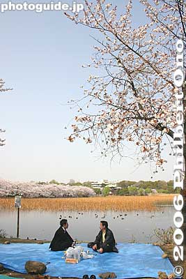 Keywords: tokyo taito-ku ueno pond cherry blossom sakura